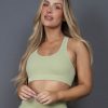 Women STAX Sports Bras & Crop Tops | Classic Crop Nandex Thistle Green