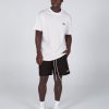 Men STAX Shorts | Mens Cursive Nylon Shorts Boa (Black)